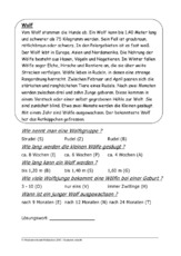 Wolf.pdf